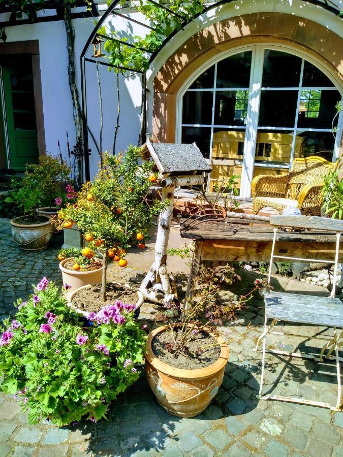 Willkommen In Unserem Kleinen Paradies Venningen Εξωτερικό φωτογραφία