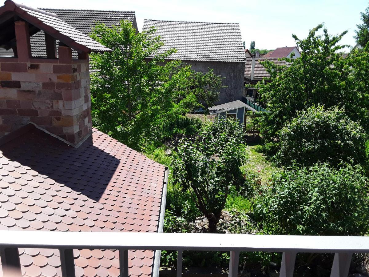 Willkommen In Unserem Kleinen Paradies Venningen Εξωτερικό φωτογραφία